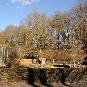 Lion enclosure at Dortmund