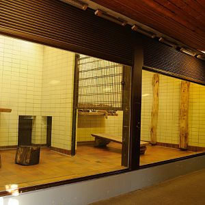 Inside Big cat house at Dortmund