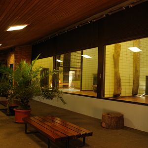 Inside Big cat house at Dortmund