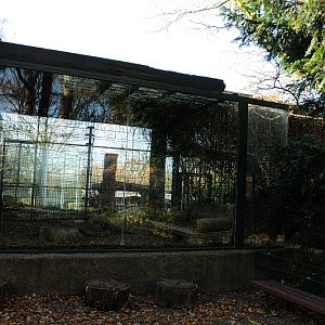 Secondary tiger enclosure at Dortmund