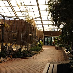 Inside Giraffe house at Dortmund