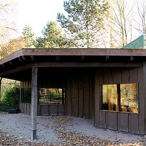 Bat-eared fox house at Dortmund