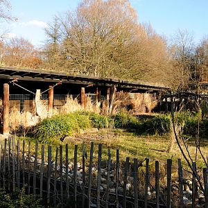 Red duiker enclosure at Dortmund