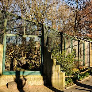 Jaguarundi aviary at Dortmund