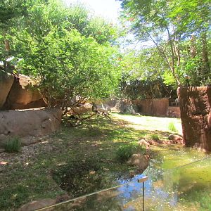 African Savanna - Painted Dog Exhibit