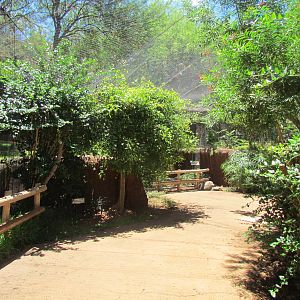 African Savanna - Walkthrough Aviary