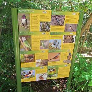 African Savanna - Walkthrough Aviary Signage