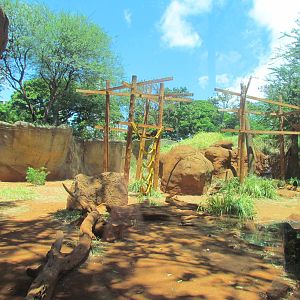 African Savanna - Chimpanzee Exhibit