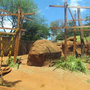 African Savanna - Chimpanzee Exhibit