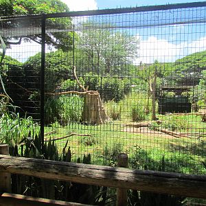 African Savanna - Marabou Stork Exhibit