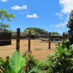 Asian Elephant Exhibit