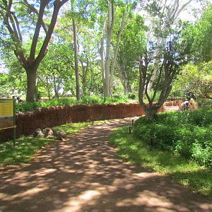 African Savanna - Walkway