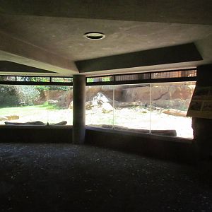 African Savanna - Painted Dog Viewing