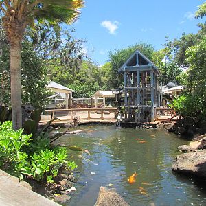 Keiki Zoo - Koi Pond
