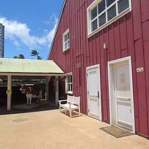 Keiki Zoo - Barn