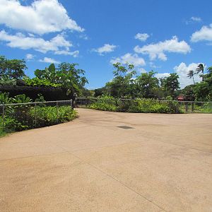 Asian Elephant Exhibit - Walkway