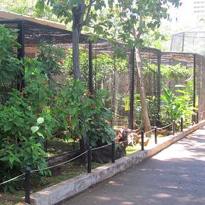 Aviaries