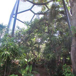 Wrinkled Hornbill Exhibit