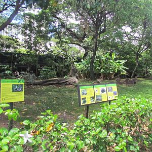 Kipuka Nene Sanctuary