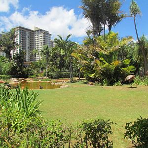 Caribbean Flamingo Lagoon