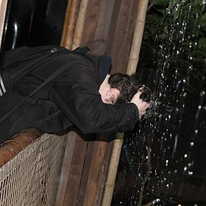A use for the longhouse aviary