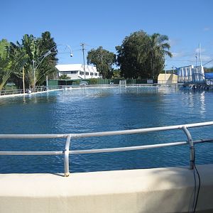 Large Dolphin Pool