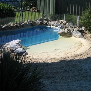 Little Penguin enclosure