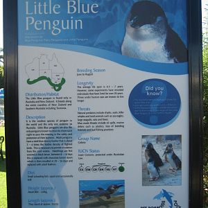 Penguin signage