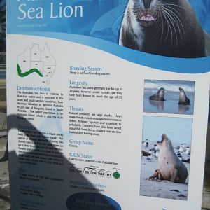 Sealion signage