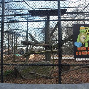 Predators- Exhibit Construction