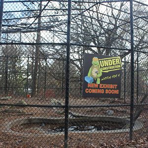 Predators- Exhibit Construction