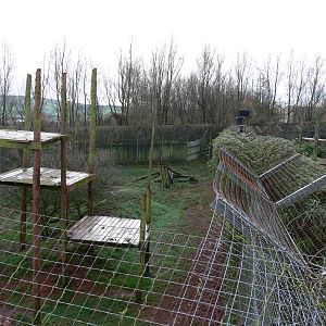 Jaguar exhibit at South Lakes WAP 24/11/12