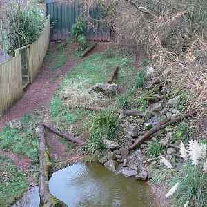 Giant Otter exhibit at South Lakes WAP 24/11/12