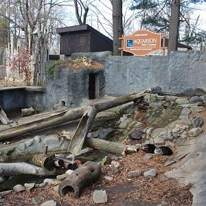 Alligator Alley- North American River Otter Exhibit