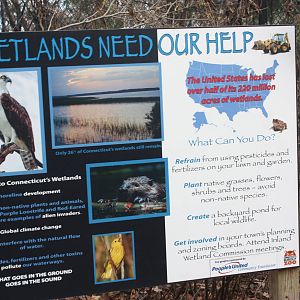 Alligator Alley- Wetlands Protection Sign