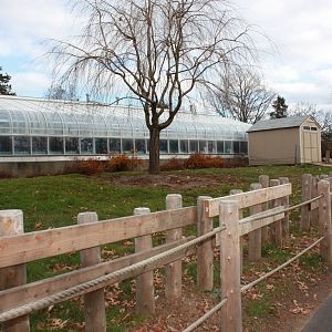 Former Tortoise Exhibit