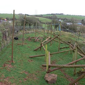 Bear exhibit at South Lakes WAP 24/11/12