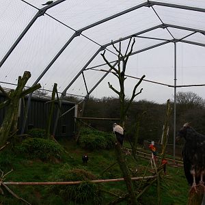 Mixed exhibit at South Lakes WAP 24/11/12