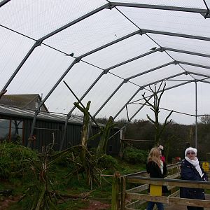 Mixed exhibit at South Lakes WAP 24/11/12