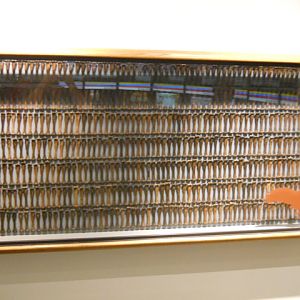 500 golden eagle bones