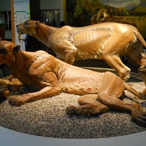 Smilodon statues