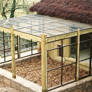 Mangabey exhibit under construction winter opening 2005/06