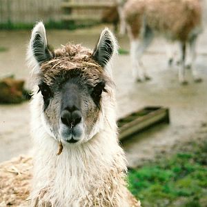 Dustin winter opening 2005/06