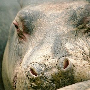 Ernie winter opening 2005/06