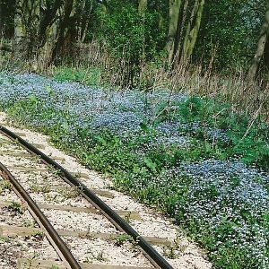 Railway 5th May 2006