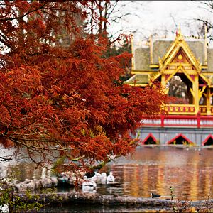Thai sala at Hamburg