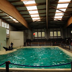 Dolphinarium at Allwetterzoo