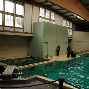 Dolphinarium at Allwetterzoo