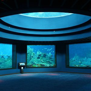 S.E.A. Aquarium - Open Ocean