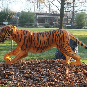 model tiger Chester Zoo 29th November 2012